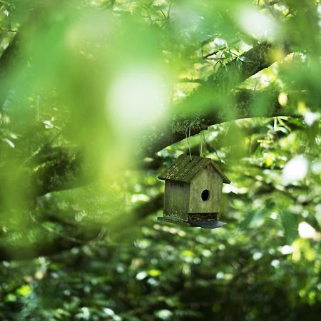 La Lisiere Villa Durbuy Kültér fotó