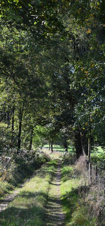 La Lisiere Villa Durbuy Kültér fotó