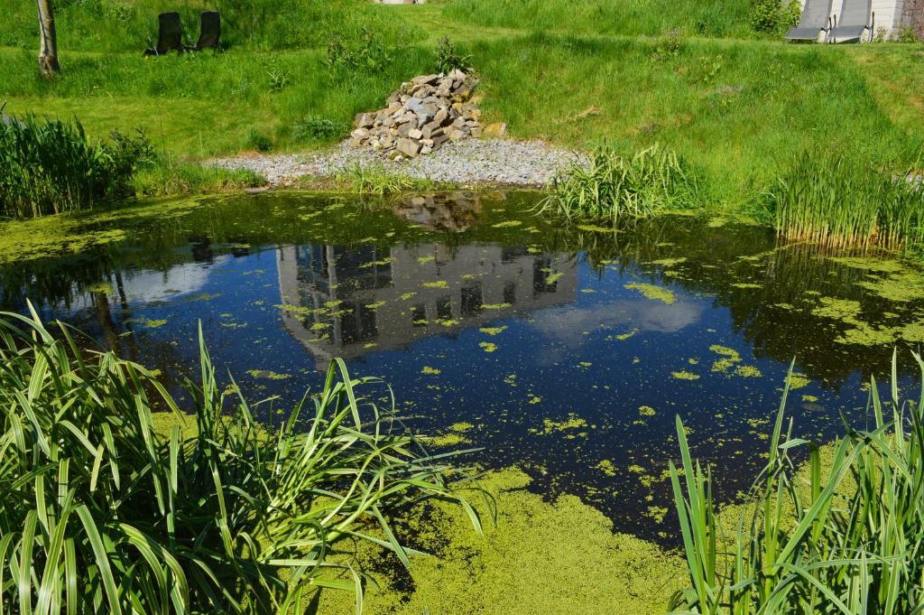 La Lisiere Villa Durbuy Kültér fotó